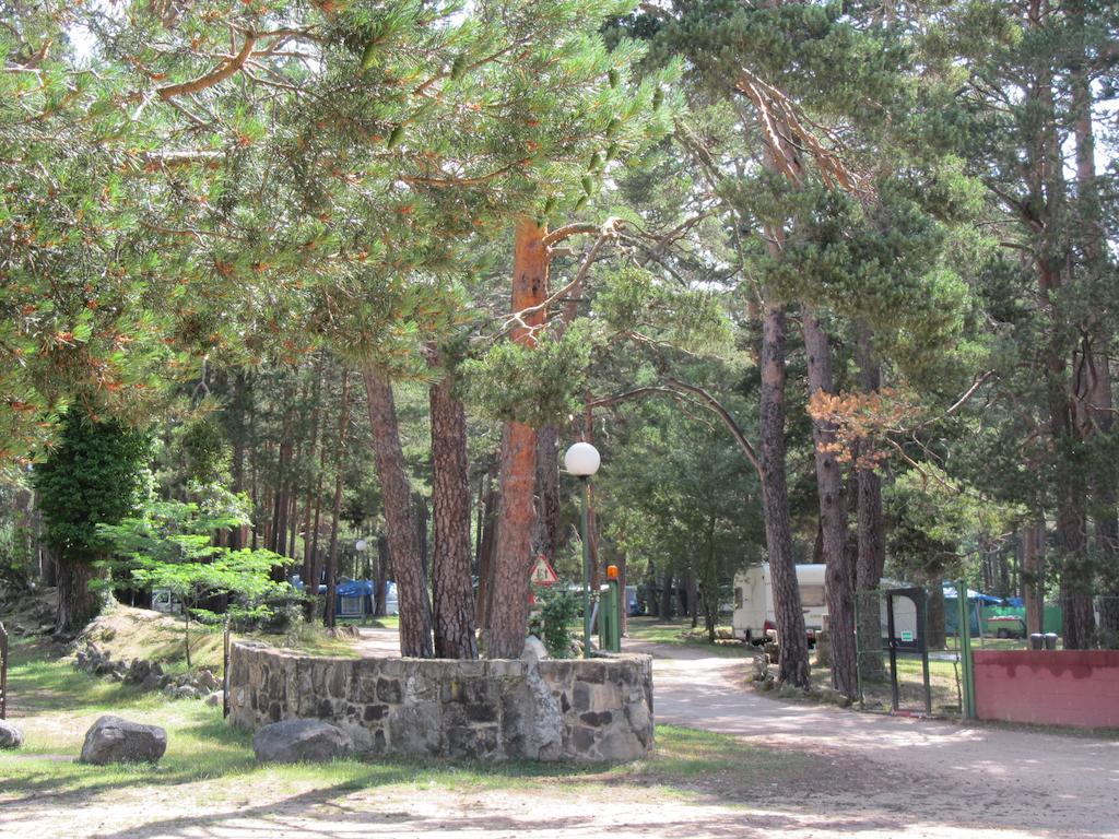 Camping Cobijo Vinuesa Ngoại thất bức ảnh